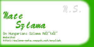 mate szlama business card